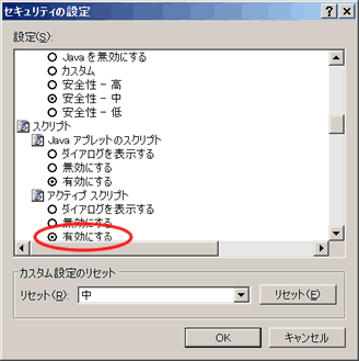 JavaScript�̐ݒ�