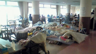 �x�X�g���C�t�{�ݎʐ^